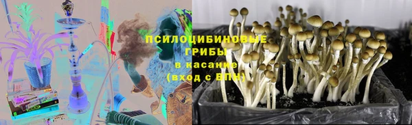 твердый Аркадак
