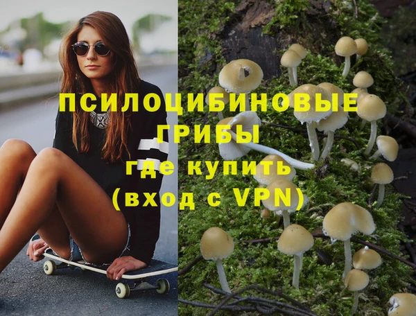 альфа пвп Армянск