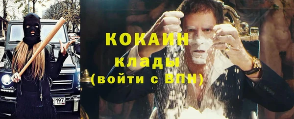 дмт Арсеньев