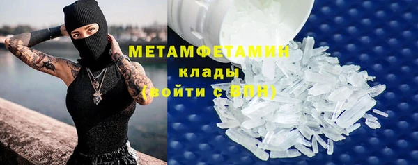 ГАЛЛЮЦИНОГЕННЫЕ ГРИБЫ Семёнов