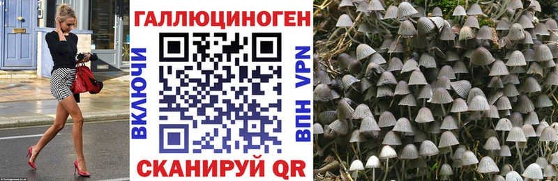 Псилоцибиновые грибы Cubensis  купить наркотик  Белозерск 